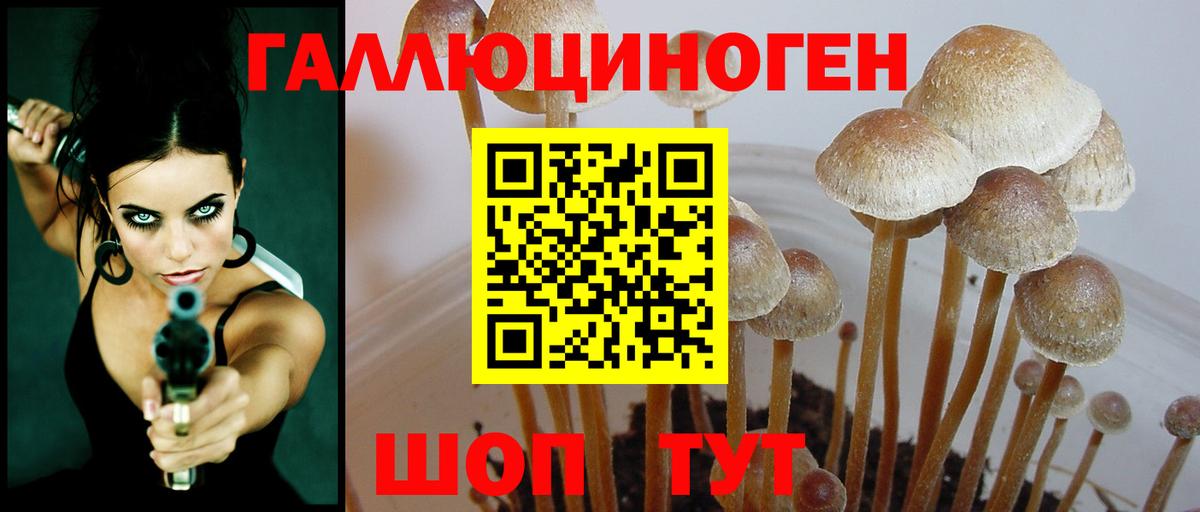 Галлюциногенные грибы Magic Shrooms  Вход с VPN  купить закладку  Назарово  Галлюциногенные грибы Psilocybine cubensis 